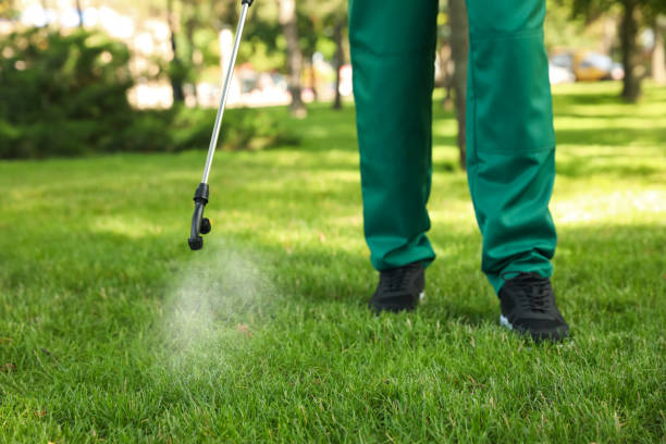 Best Rodent Control Near Me  in Atherton, CA