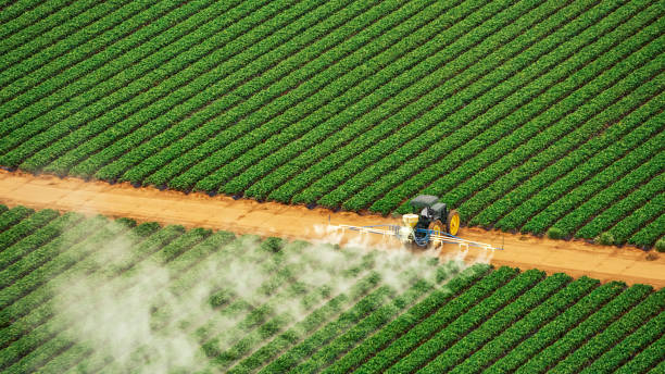 Best Pest Control Treatment  in Atherton, CA