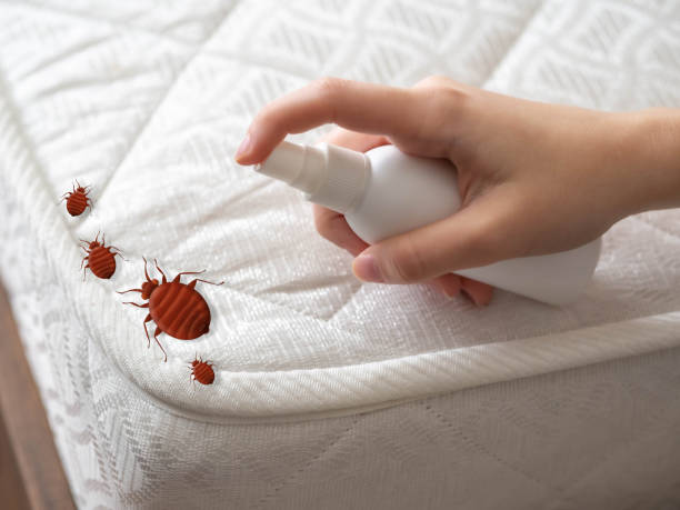Best Local Pest Control Services  in Atherton, CA