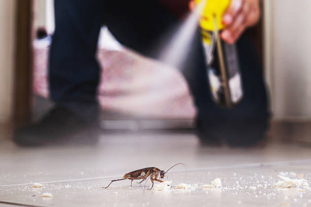 Best Pest Control Near Me in Atherton, CA