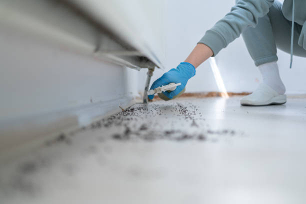 Best Affordable Exterminators  in Atherton, CA
