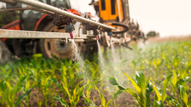Best Commercial Pest Control Services  in Atherton, CA